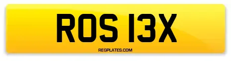 ROS 13X
