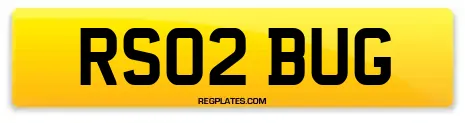 RS02 BUG