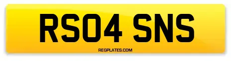 RS04 SNS