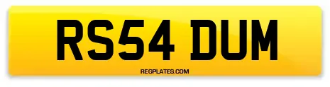RS54 DUM