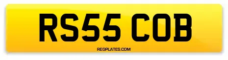 RS55 COB