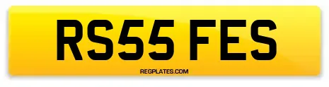 RS55 FES