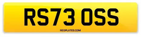 RS73 OSS