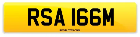 RSA 166M
