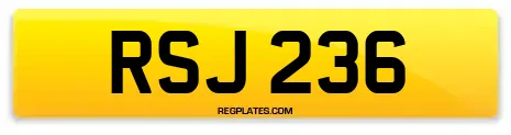 RSJ 236