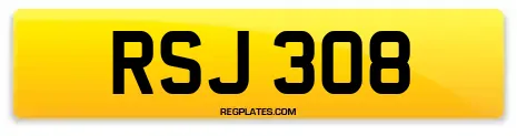 RSJ 308