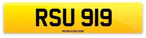 RSU 919
