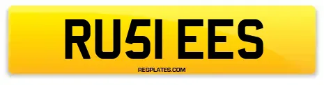 RU51 EES