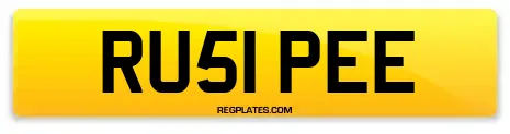 RU51 PEE