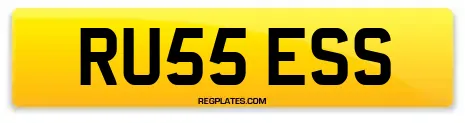 RU55 ESS