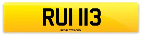 RUI 113