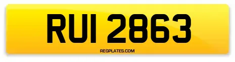 RUI 2863