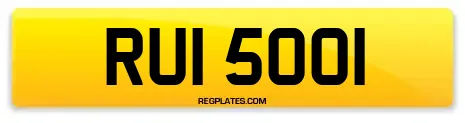 RUI 5001