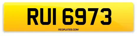RUI 6973