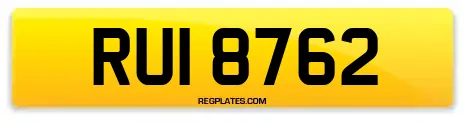 RUI 8762