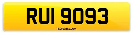 RUI 9093