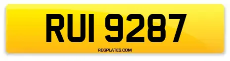RUI 9287