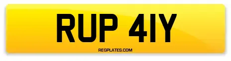 RUP 41Y