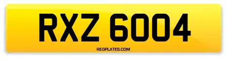 RXZ 6004