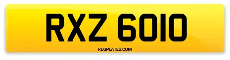 RXZ 6010