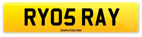 RY05 RAY