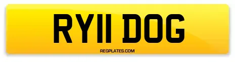 RY11 DOG