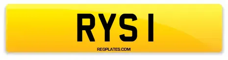 RYS 1