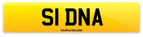 S1 DNA