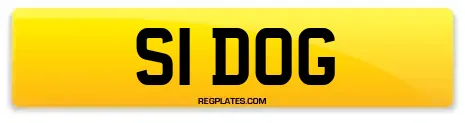 S1 DOG