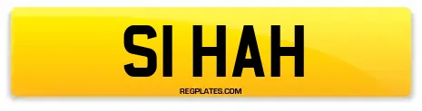 S1 HAH