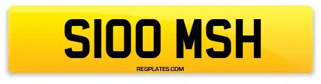 S100 MSH