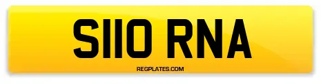 S110 RNA