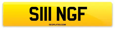 S111 NGF