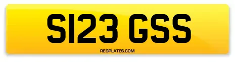 S123 GSS