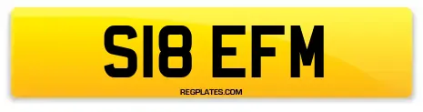 S18 EFM