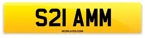 S21 AMM