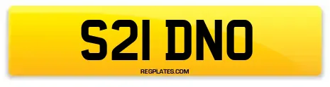 S21 DNO
