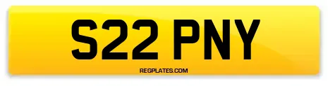 S22 PNY