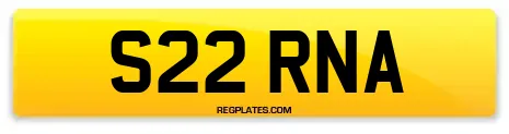 S22 RNA
