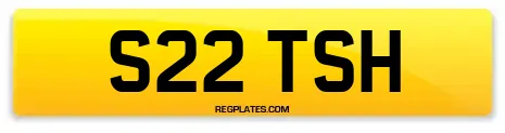 S22 TSH