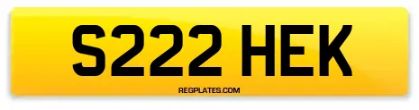 S222 HEK