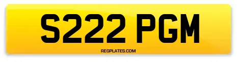 S222 PGM