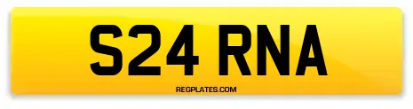 S24 RNA