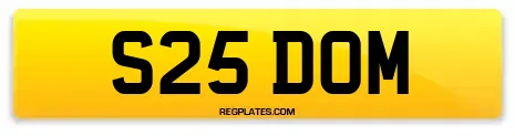 S25 DOM