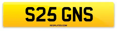 S25 GNS