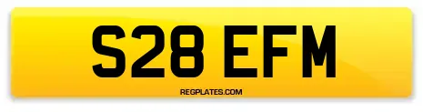 S28 EFM