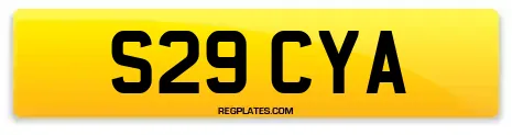 S29 CYA