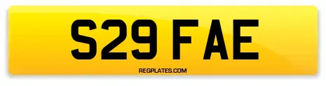 S29 FAE
