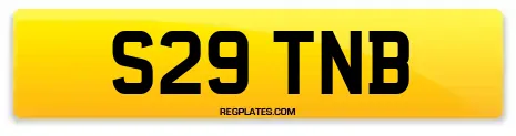 S29 TNB