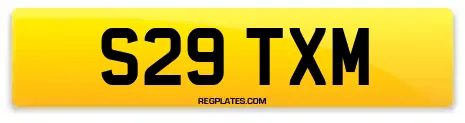 S29 TXM